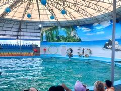 -尼莫海豚馆