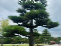-奈良公园