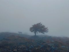 -灵山