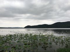 -东湖落雁景区