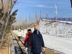 -北京鹿世界主题园
