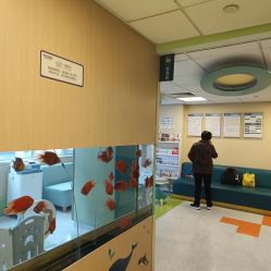 -杭州贝瑞斯美华妇儿医院·早孕·产检·儿科