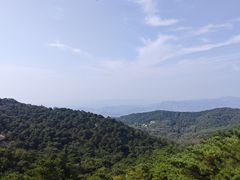 -鲁山国家森林公园