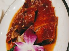 -香港深井掂檔烧鹅茶餐厅(海韵城店)
