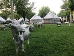 -九十九顶毡房(阜石路店)