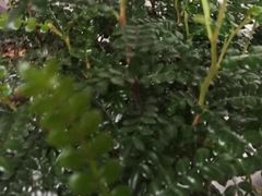 -雕刻时光咖啡馆(交大店)