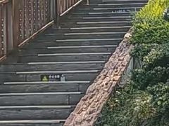 -庐山西海主景区