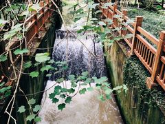 -桤木河湿地公园