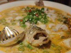 鲜椒豆花鲈鱼-川味堂·四川豆花(八卦岭店)