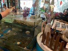 水产区-梅园国际大酒店·自助餐厅(光明港店)