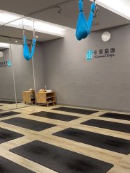 -卡莫瑜伽·普拉提
