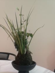 -侒悦缦月子中心·疗愈园区(龙岗店)