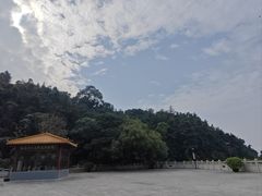 -深圳仙湖植物园