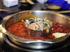微辣锅底-肥龙火锅(南坪店)