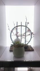 -京世沙龙