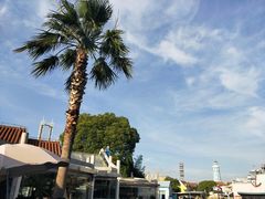 景点-上海欢乐谷