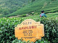 -香芙茗茶楼(梅家坞总店)