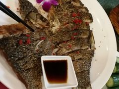 香辣鱼排-田园小观园(武大店)