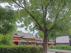 -洛阳白马寺