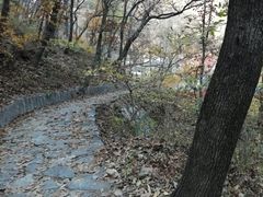 -北京上方山国家森林公园