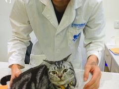 -贝利宠物医院·骨科·眼科·肿瘤转诊中心(南坪诊疗中心)