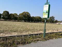 -嘉北郊野公园
