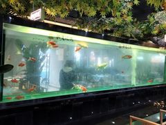 -阳光院坝小龙虾(红牌楼店)
