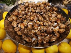 -威珀斯酒店·珀萃美食餐厅 | 海鲜刺身·现烤生蚝·特色烤肉