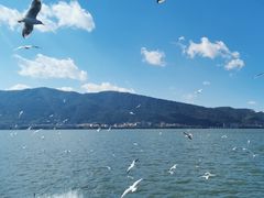 -海埂大坝