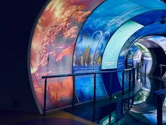 -房山世界地质公园博物馆