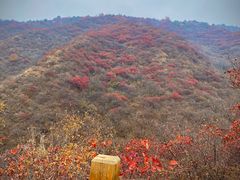 -水峪民俗村