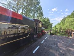 -莫尔道嘎国家森林公园