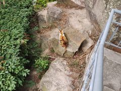 -鸿山公园