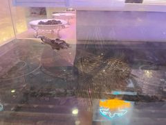 -海韵之星邮轮水会(明发商业广场店)