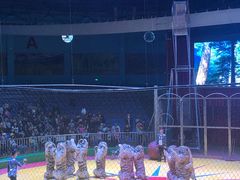 -西安秦岭野生动物园