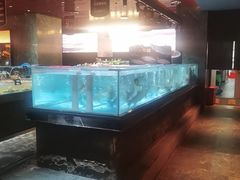 -紫阳海鲜楼·传承闽味(长乐路总店)