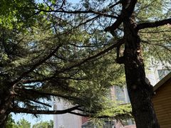 -中国政法大学(昌平校区)