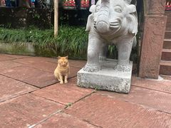 -峨眉山风景名胜区