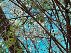 -叠溪松坪沟景区