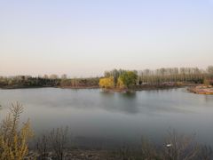 -东郊湿地公园