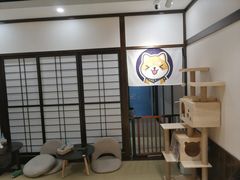 -逗柴咖啡屋·狗咖猫咖宠物桌游