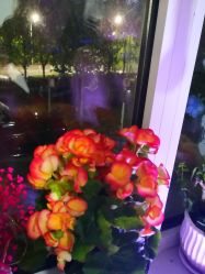 -丹漪·DANYI 美肤中心