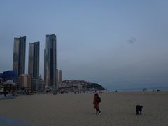 -海云台海滩