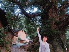 -杨家堂村
