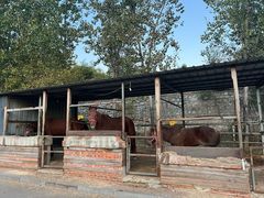 -天津盘山风景名胜区