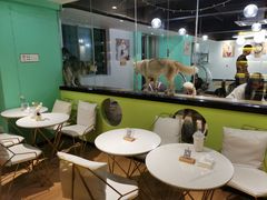 大堂-Husky Go! 哈士奇体验馆·宠物咖啡厅狗咖