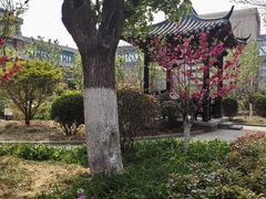 -山东省千佛山医院