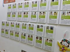-培飞思维启蒙·益智游戏·科学探索(城西银泰店)