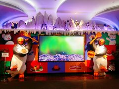 -帝企鹅自助餐厅•儿童岛•真企鹅(长隆企鹅酒店)