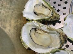 桑拿生蚝-飞尝蚝·顺德菜·鱼生(顺德总店)